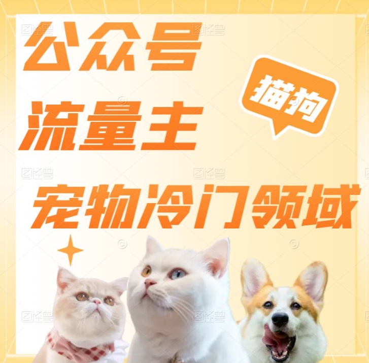 公众号流量主，萌宠冷门领域，单日收益2000+，简单暴力掘金，矩阵操作，无限放大收益！-董叔项目网