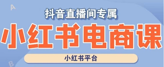 小红书电商高级运营课程，实操教学+案例分析-董叔项目网