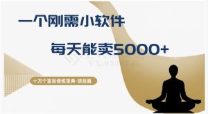 十万个富翁修炼宝典之17.一个刚需小软件,每天能卖5000+-董叔项目网