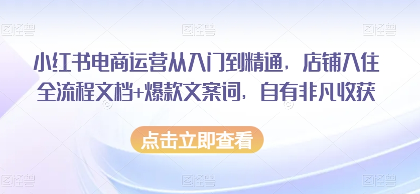 小红书电商运营从入门到精通，店铺入住全流程文档+爆款文案词，自有非凡收获-董叔项目网