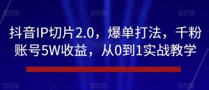 抖音IP切片2.0，爆单打法，千粉账号5W收益，从0到1实战教学【揭秘】-董叔项目网