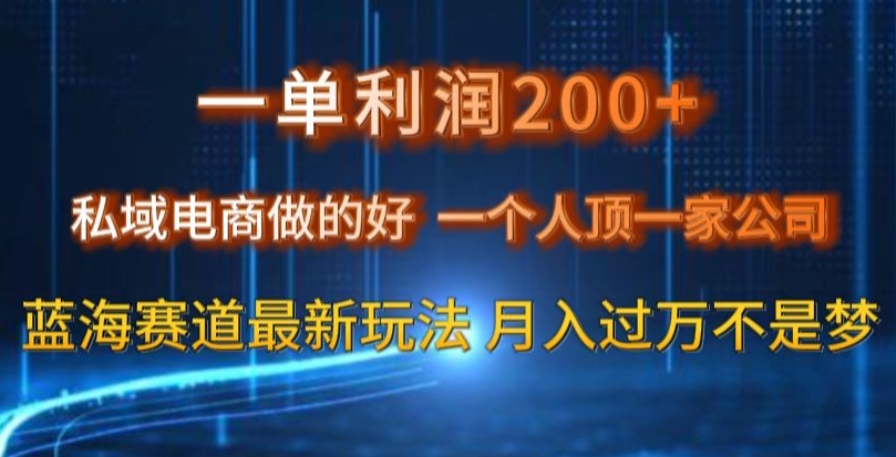 一单利润200私域电商做的好，一个人顶一家公司蓝海赛道最新玩法【揭秘】-董叔项目网
