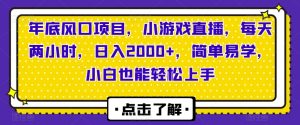 年底风口项目，小游戏直播，每天两小时，日入2000+，简单易学，小白也能轻松上手-董叔项目网