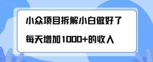 小众项目拆解,小白做好了每天可增加1000多的收入-董叔项目网