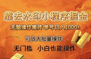 靠去水印小程序无脑操作搬砖，单号日入1000+保姆级教程可放大批量操作【揭秘】-董叔项目网