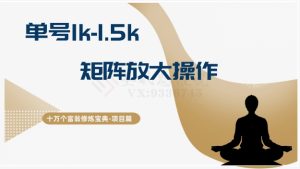 十万个富翁修炼宝典15.单号1k-1.5k,矩阵放大操作-董叔项目网