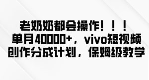 老奶奶都会操作，新平台无脑操作，单月40000+，vivo短视频创作分成计划【揭秘】-董叔项目网
