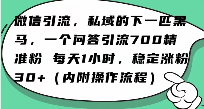 怎么搞精准创业粉？微信新赛道，每天一小时，利用Ai一个问答日引100精准粉-董叔项目网