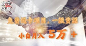 免费送卡项目，一级资源，小白月入5万+-董叔项目网