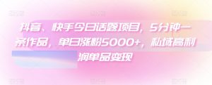 抖音、快手今日话题项目，5分钟一条作品，单日涨粉5000+，私域高利润单品变现-董叔项目网