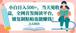 小白日入500+，当天见收益，全网首发阅读平台，一键复制粘贴也能赚钱！-董叔项目网