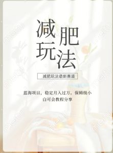 减肥流量主新玩法，轻松月入1W，可矩阵操作收入翻倍-董叔项目网