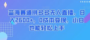 蓝海赛道拼多多无人直播，日入2600+，0成本变现，小白也能轻松上手【揭秘】-董叔项目网