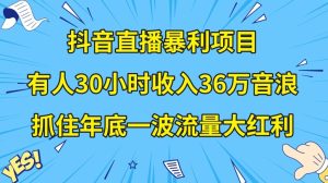抖音直播暴利项目，有人30小时收入36万音浪，公司宣传片年会视频制作，抓住年底一波流量大红利【揭秘】-董叔项目网