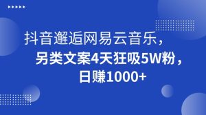 抖音邂逅网易云音乐,另类文案4天狂吸5W粉,日赚1000+【揭秘】-董叔项目网