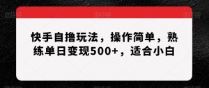 快手自撸玩法，操作简单，熟练单日变现500+，适合小白【揭秘】-董叔项目网