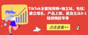 TikTok全案短视频+独立站，包括：建立域名、产品上架、能自主从0-1短视频起号等-董叔项目网