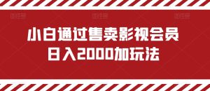 小白通过售卖影视会员日入2000加玩法-董叔项目网