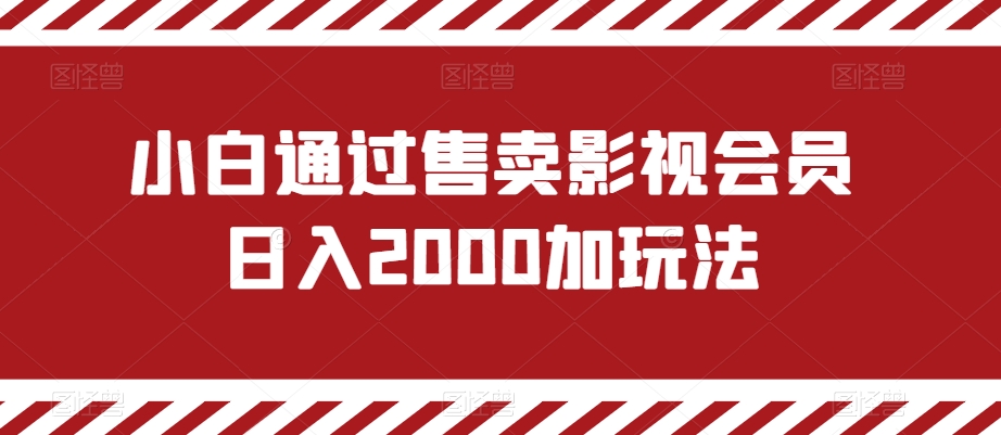 小白通过售卖影视会员日入2000加玩法-董叔项目网