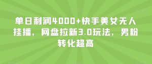 单日利润4000+快手美女无人挂播，网盘拉新3.0玩法，男粉转化超高【揭秘】-董叔项目网