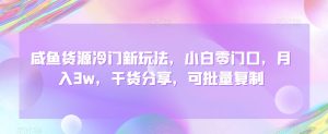 咸鱼货源冷门新玩法,小白零门口,月入3w,干货分享,可批量复制-董叔项目网