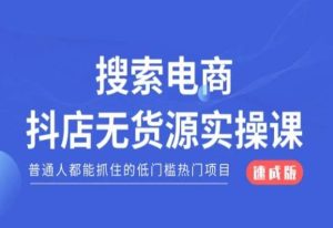 搜索电商抖店无货源必修课，普通人都能抓住的低门槛热门项目【速成版】-董叔项目网