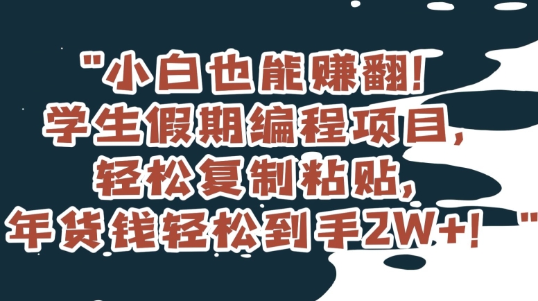 小白也能赚翻！学生假期编程项目，轻松复制粘贴，年货钱轻松到手2W+【揭秘】-董叔项目网