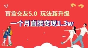 盲盒交友5.0，玩法全新升级，一个月直接变现1.3W，新手小白轻松上手【揭秘】-董叔项目网