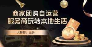 大新哥·商家团购自运营-玩转本地生活-董叔项目网