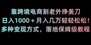 靠跨境电商割老外挣美刀,日入1000+月入几万轻轻松松!多种变现方式,落地保姆级教程【揭秘】-董叔项目网