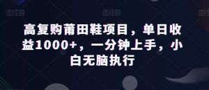 高复购莆田鞋项目,单日收益1000+,一分钟上手,小白无脑执行-董叔项目网