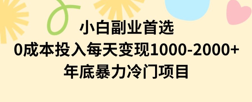 小白副业首选，0成本投入，每天变现1000-2000年底暴力冷门项目【揭秘】-董叔项目网