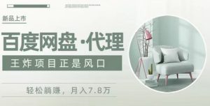 度盘代理,月入7w保姆级全方位教程-董叔项目网