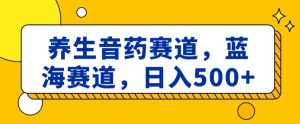 养生音药赛道,蓝海赛道,日入500+【揭秘】-董叔项目网
