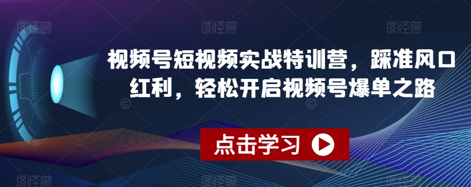 视频号短视频实战特训营，踩准风口红利，轻松开启视频号爆单之路-董叔项目网