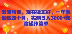 蓝海项目，现在做正好，一年就做这4个月，实测日入3000+，无脑简单操作！-董叔项目网