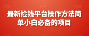 最新捡钱平台操作方法简单小白必备的项目-董叔项目网
