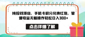纯捡钱项目,手机卡积分兑换红包,管道收益无脑操作轻松日入300+-董叔项目网