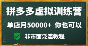 拼多多虚拟电商训练营月入30000+你也行，暴利稳定长久，副业首选-董叔项目网