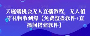 天庭蟠桃会无人直播教程，无人值守礼物收到爆【免费整蛊软件+直播间搭建软件】-董叔项目网
