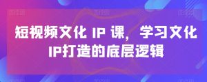 短视频文化IP课，学习文化IP打造的底层逻辑-董叔项目网