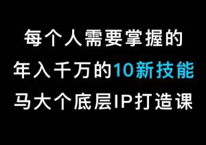 马大个的IP底层逻辑课,每个人需要掌握的年入千万的10新技能,约会底层IP打造方法!-董叔项目网
