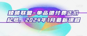 臻曦联盟-单品微付费正价起号，2024年1月最新课程-董叔项目网