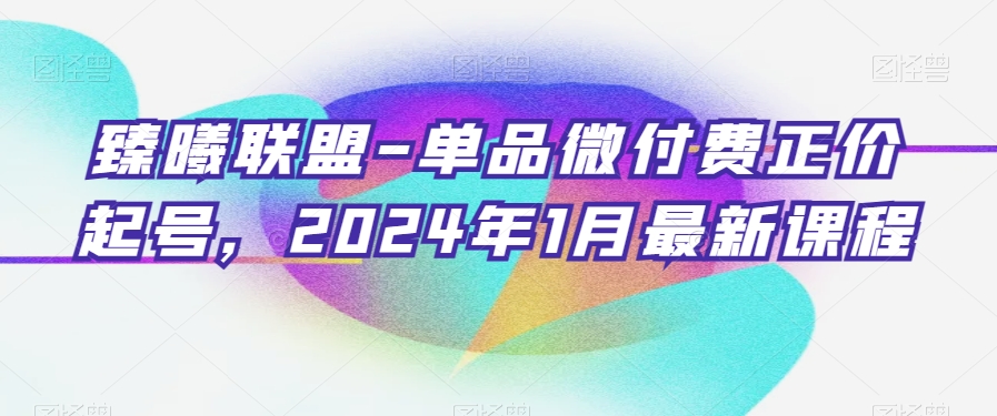 臻曦联盟-单品微付费正价起号，2024年1月最新课程-董叔项目网