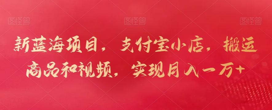 新蓝海项目，支付宝小店，搬运商品和视频，实现月入一万+【揭秘】-董叔项目网