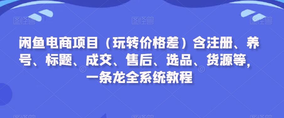 闲鱼电商项目(玩转价格差)含注册、养号、标题、成交、售后、选品、货源等，一条龙全系统教程-董叔项目网