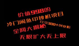 闲鱼流量印钞机项目大揭秘，日引300+创业粉，保姆级实操教程-董叔项目网