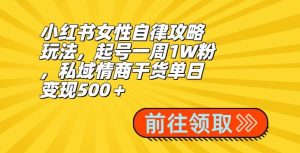 小红书女性自律攻略玩法，起号一周1W粉，私域情商干货单日变现500＋-董叔项目网