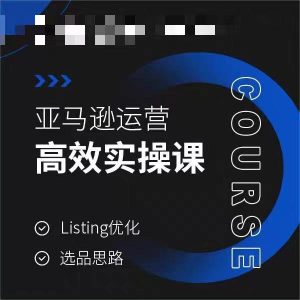 亚马逊运营高效实操课，Listing优化，选品思路-董叔项目网