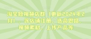 淘宝短视频店群(更新2024年2月)，含店铺注册、选品思路、视频素材、上传产品等-董叔项目网